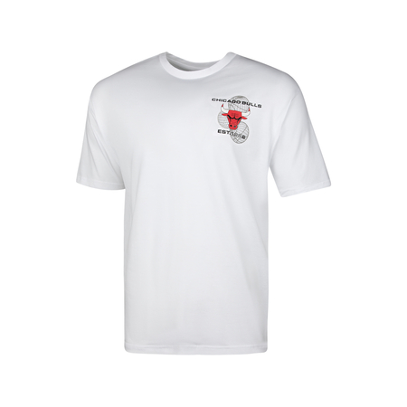 NBA CHICAGO BULLS INFILL TEAM LOGO OVERSIZED T-SHIRT 'WHITE